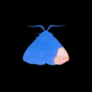 Chairlift - "Crying In Public" single cover artwork